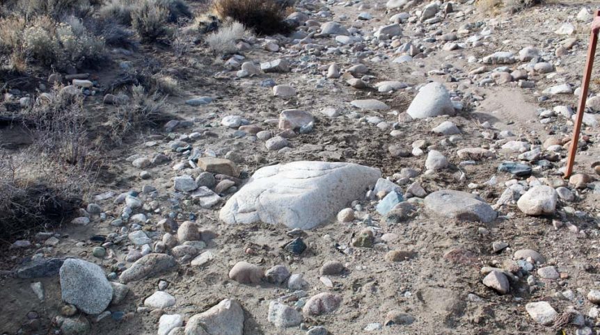 Golden Buckeye #1 & #2 — photograph 95 of the claim ground, Douglas County, Nevada