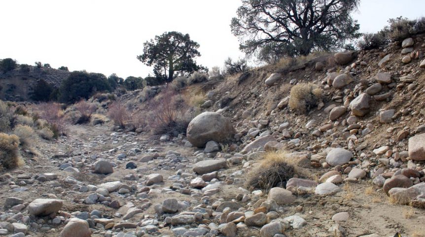 Golden Buckeye #1 & #2 — photograph 96 of the claim ground, Douglas County, Nevada