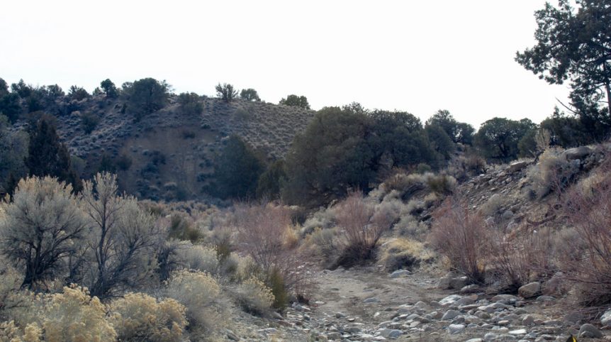 Golden Buckeye #1 & #2 — photograph 97 of the claim ground, Douglas County, Nevada