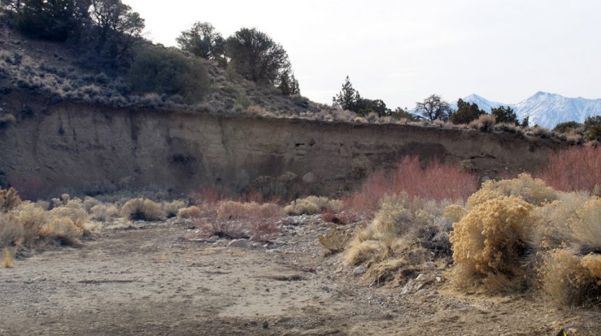 Golden Buckeye #1 & #2 — photograph 98 of the claim ground, Douglas County, Nevada