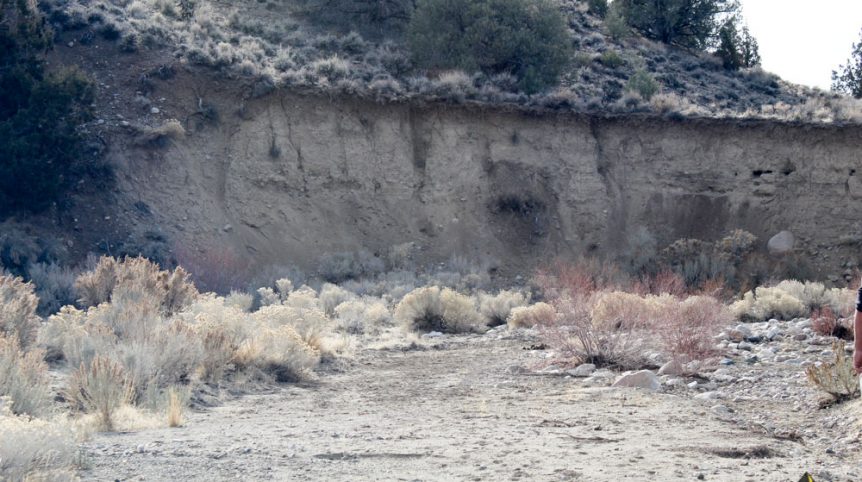 Golden Buckeye #1 & #2 — photograph 101 of the claim ground, Douglas County, Nevada