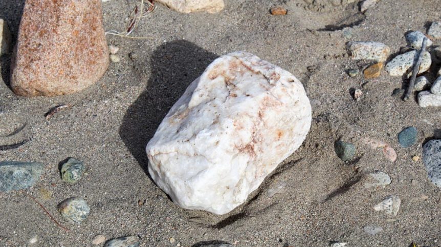 Golden Buckeye #1 & #2 — photograph 102 of the claim ground, Douglas County, Nevada