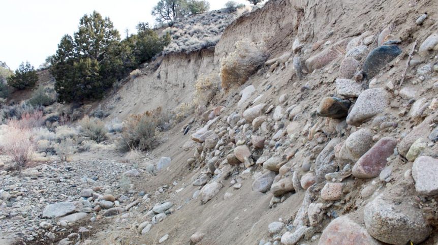 Golden Buckeye #1 & #2 — photograph 104 of the claim ground, Douglas County, Nevada