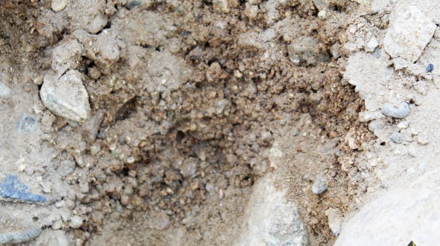 Golden Buckeye #1 & #2 — photograph 105 of the claim ground, Douglas County, Nevada