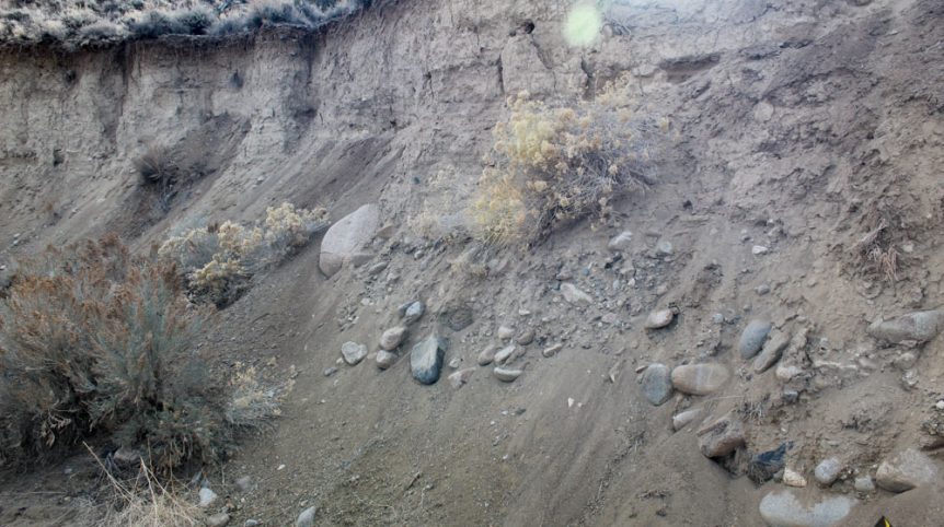 Golden Buckeye #1 & #2 — photograph 107 of the claim ground, Douglas County, Nevada