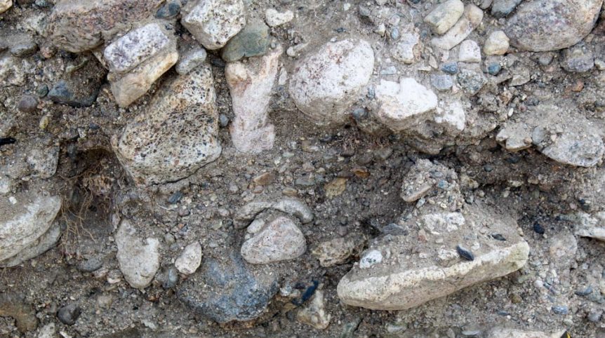 Golden Buckeye #1 & #2 — photograph 109 of the claim ground, Douglas County, Nevada