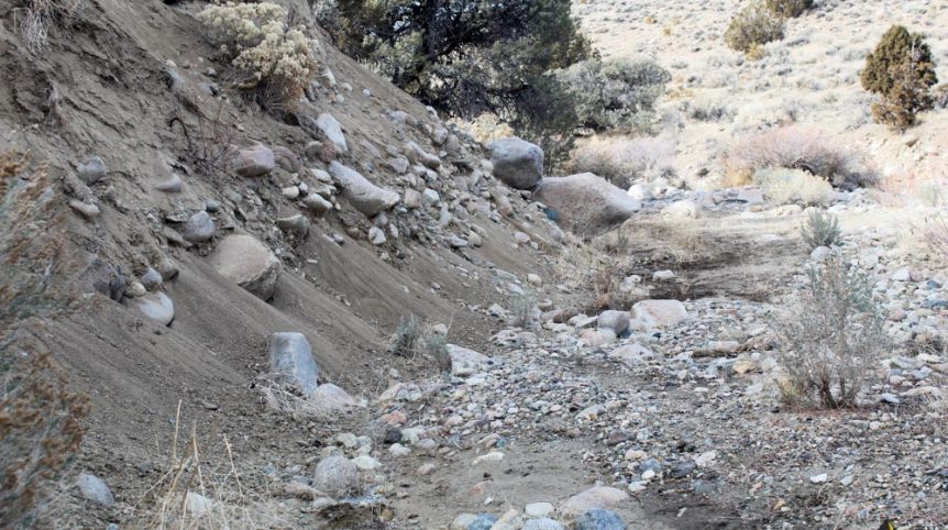 Golden Buckeye #1 & #2 — photograph 110 of the claim ground, Douglas County, Nevada