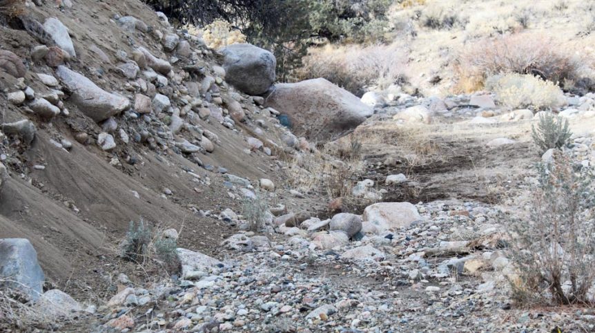 Golden Buckeye #1 & #2 — photograph 111 of the claim ground, Douglas County, Nevada