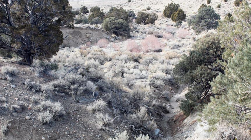 Golden Buckeye #1 & #2 — photograph 114 of the claim ground, Douglas County, Nevada