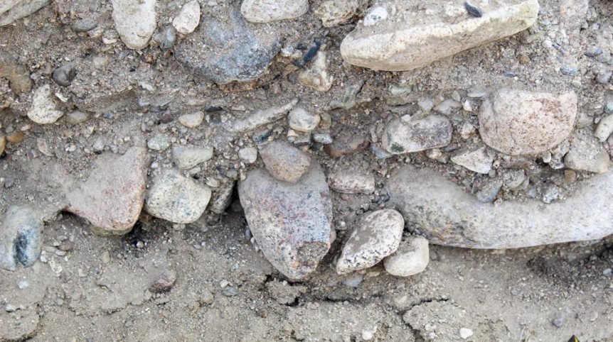 Golden Buckeye #1 & #2 — photograph 117 of the claim ground, Douglas County, Nevada