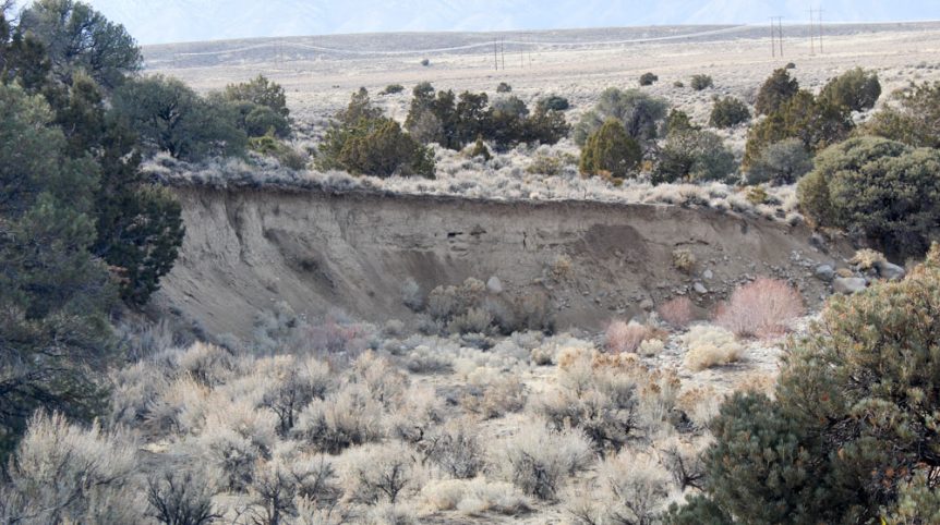 Golden Buckeye #1 & #2 — photograph 118 of the claim ground, Douglas County, Nevada