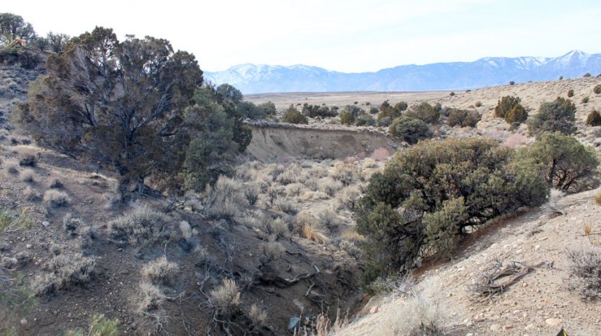 Golden Buckeye #1 & #2 — photograph 119 of the claim ground, Douglas County, Nevada