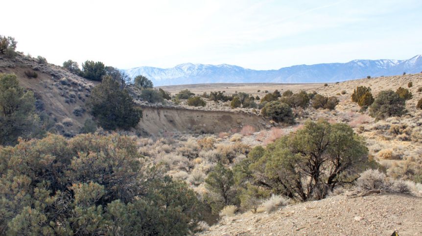 Golden Buckeye #1 & #2 — photograph 120 of the claim ground, Douglas County, Nevada