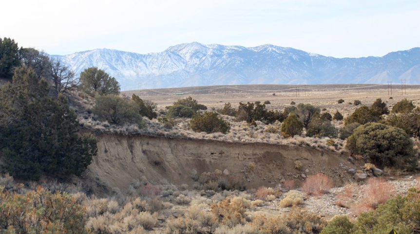 Golden Buckeye #1 & #2 — photograph 121 of the claim ground, Douglas County, Nevada