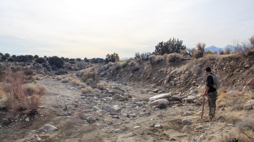 Golden Buckeye #1 & #2 — photograph 127 of the claim ground, Douglas County, Nevada