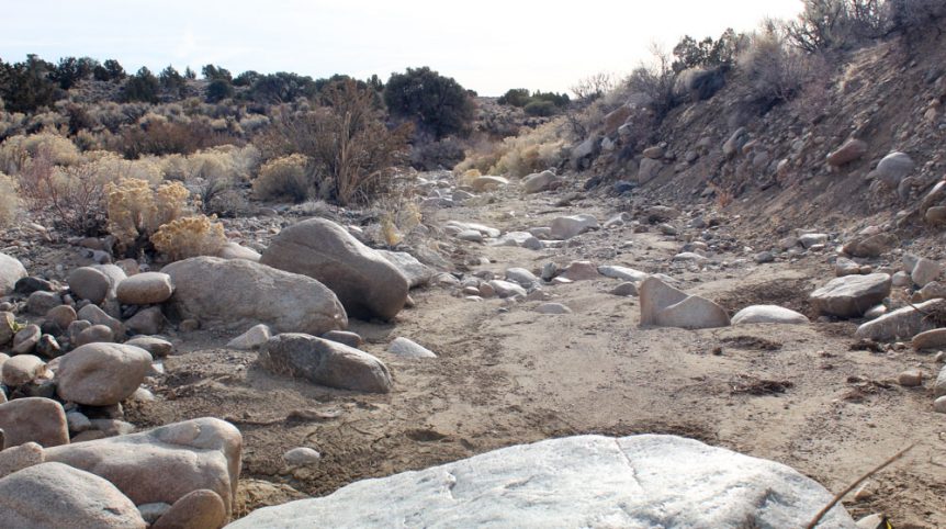 Golden Buckeye #1 & #2 — photograph 128 of the claim ground, Douglas County, Nevada