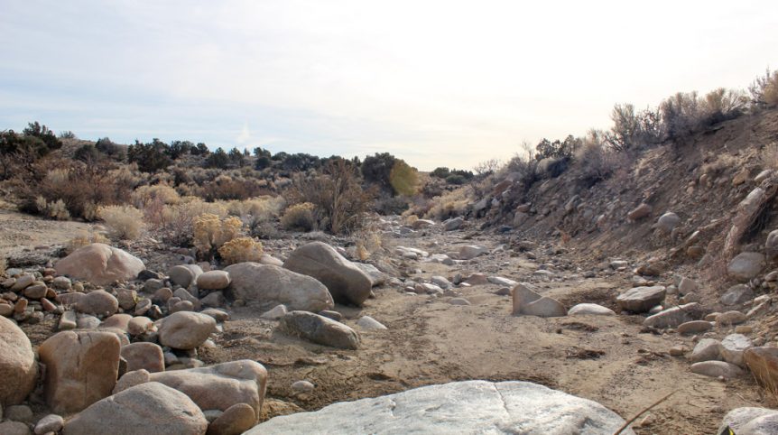 Golden Buckeye #1 & #2 — photograph 129 of the claim ground, Douglas County, Nevada