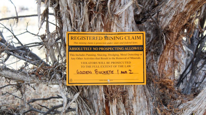 Golden Buckeye #1 & #2 — photograph 136 of the claim ground, Douglas County, Nevada
