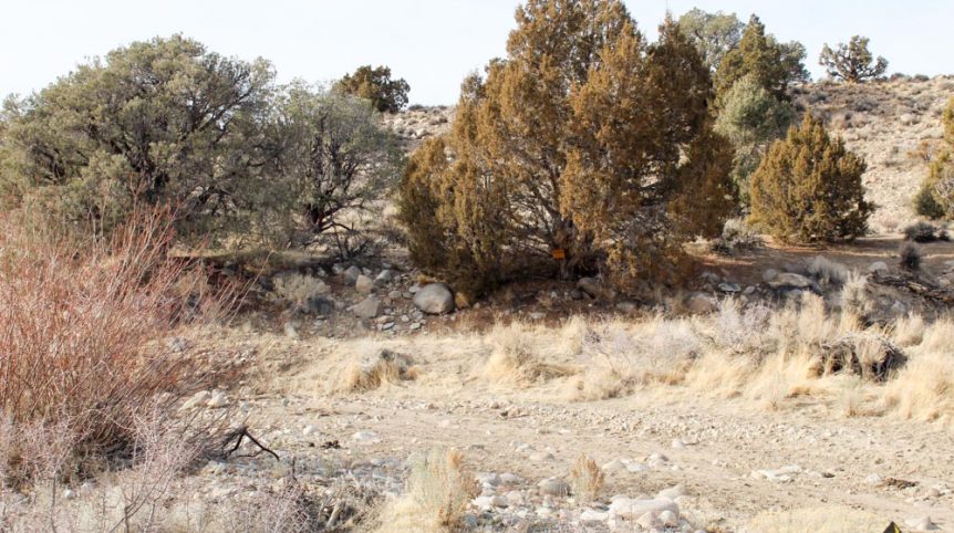 Golden Buckeye #1 & #2 — photograph 137 of the claim ground, Douglas County, Nevada