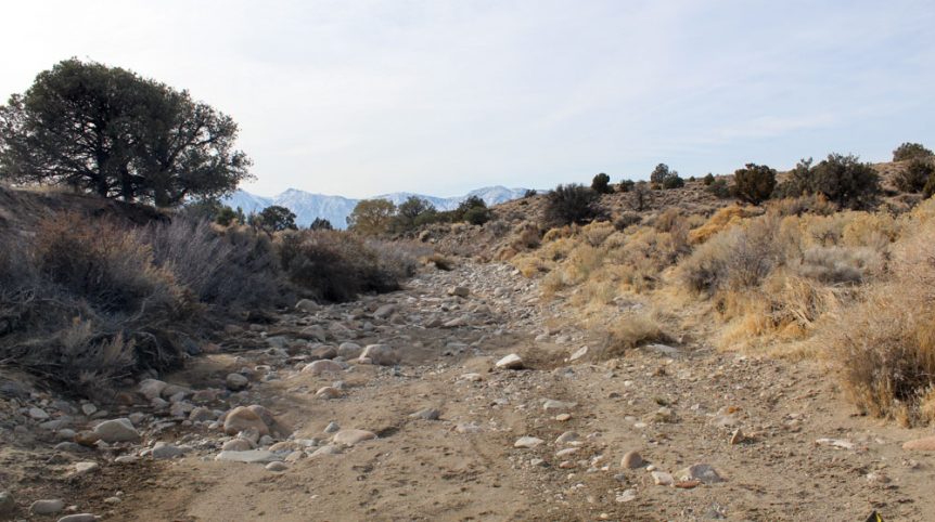 Golden Buckeye #1 & #2 — photograph 139 of the claim ground, Douglas County, Nevada