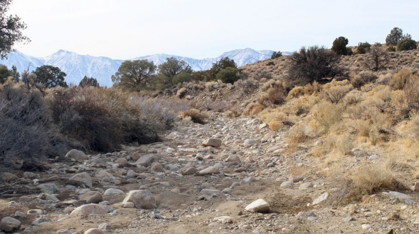 Golden Buckeye #1 & #2 — photograph 140 of the claim ground, Douglas County, Nevada