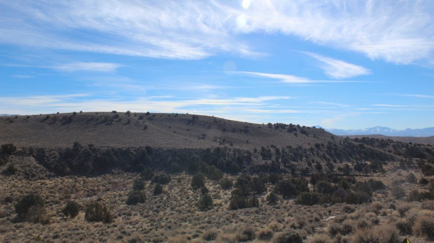 Golden Buckeye #1 & #2 — photograph 1 of the claim ground, Douglas County, Nevada