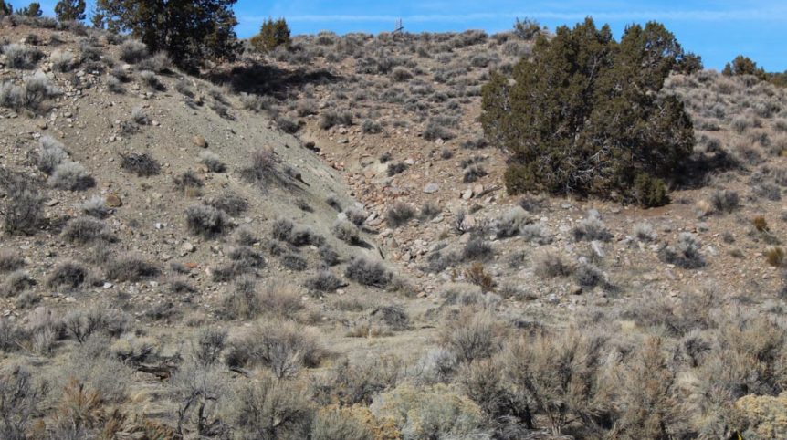 Golden Buckeye #1 & #2 — photograph 142 of the claim ground, Douglas County, Nevada