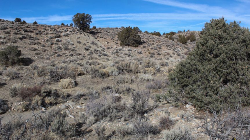 Golden Buckeye #1 & #2 — photograph 143 of the claim ground, Douglas County, Nevada