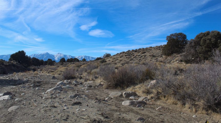 Golden Buckeye #1 & #2 — photograph 144 of the claim ground, Douglas County, Nevada