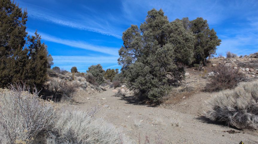 Golden Buckeye #1 & #2 — photograph 145 of the claim ground, Douglas County, Nevada