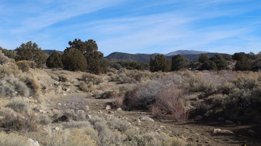Golden Buckeye #1 & #2 — photograph 146 of the claim ground, Douglas County, Nevada