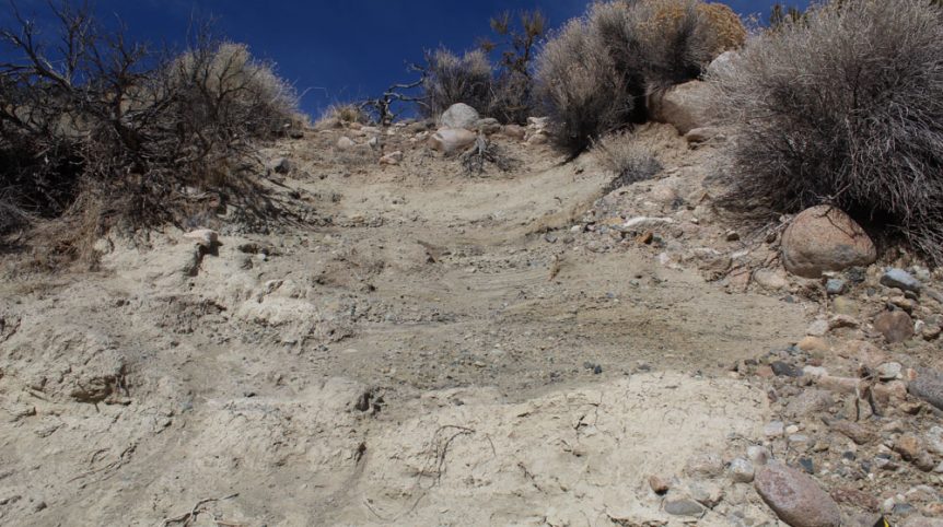 Golden Buckeye #1 & #2 — photograph 147 of the claim ground, Douglas County, Nevada