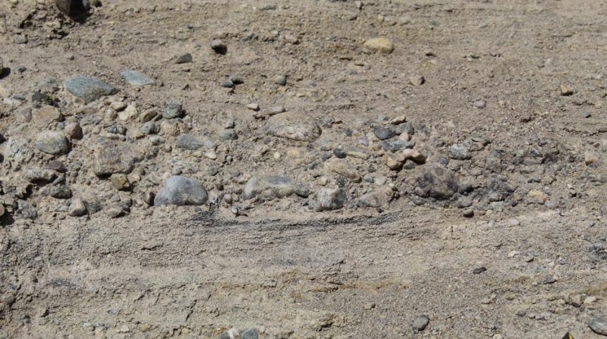 Golden Buckeye #1 & #2 — photograph 149 of the claim ground, Douglas County, Nevada