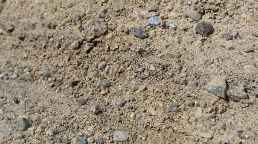 Golden Buckeye #1 & #2 — photograph 150 of the claim ground, Douglas County, Nevada