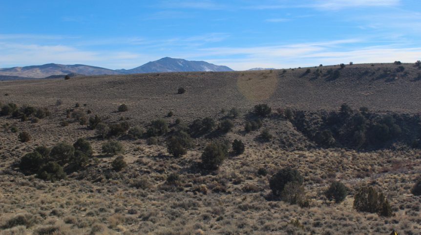 Golden Buckeye #1 & #2 — photograph 3 of the claim ground, Douglas County, Nevada