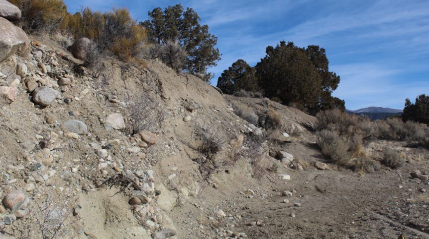 Golden Buckeye #1 & #2 — photograph 151 of the claim ground, Douglas County, Nevada