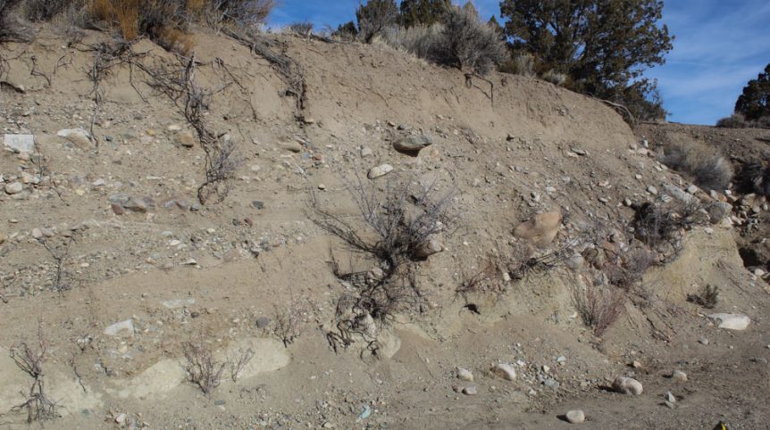 Golden Buckeye #1 & #2 — photograph 152 of the claim ground, Douglas County, Nevada