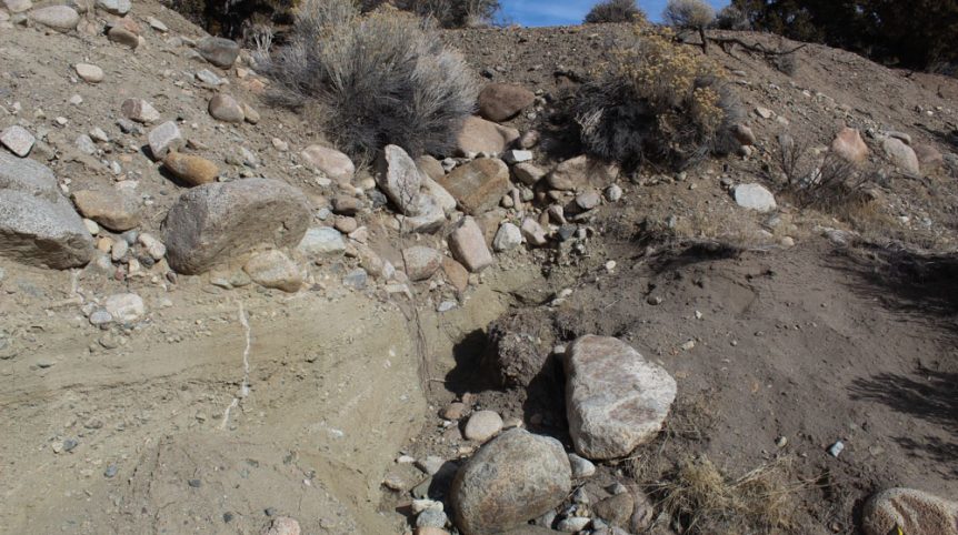 Golden Buckeye #1 & #2 — photograph 153 of the claim ground, Douglas County, Nevada