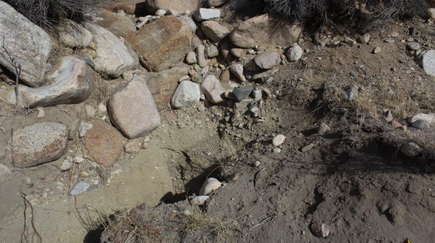 Golden Buckeye #1 & #2 — photograph 154 of the claim ground, Douglas County, Nevada