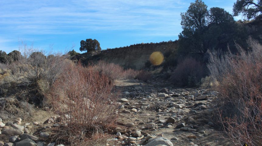 Golden Buckeye #1 & #2 — photograph 155 of the claim ground, Douglas County, Nevada