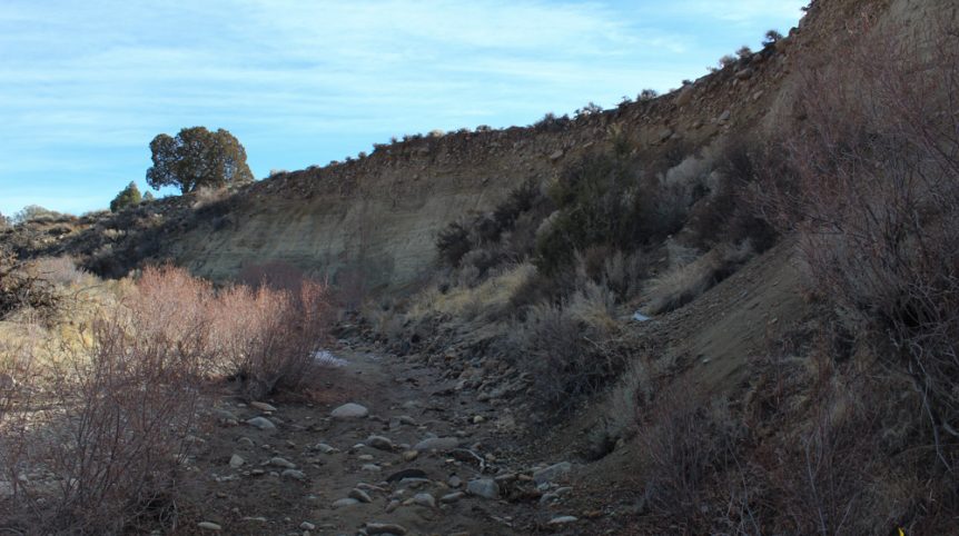 Golden Buckeye #1 & #2 — photograph 156 of the claim ground, Douglas County, Nevada