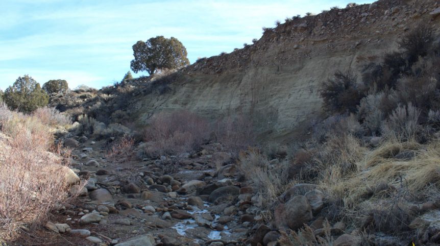 Golden Buckeye #1 & #2 — photograph 157 of the claim ground, Douglas County, Nevada