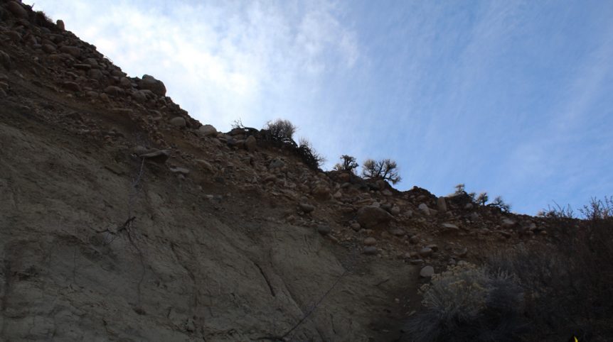 Golden Buckeye #1 & #2 — photograph 159 of the claim ground, Douglas County, Nevada