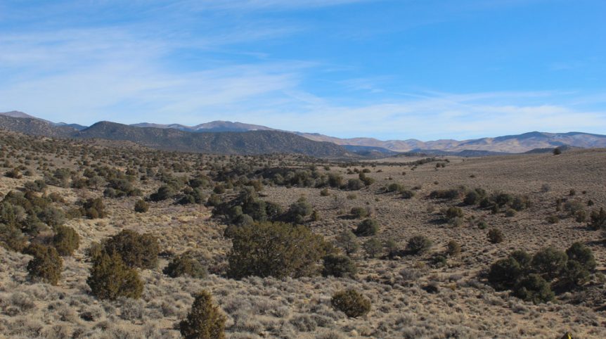 Golden Buckeye #1 & #2 — photograph 161 of the claim ground, Douglas County, Nevada