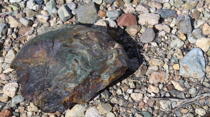Golden Buckeye #1 & #2 — photograph 163 of the claim ground, Douglas County, Nevada