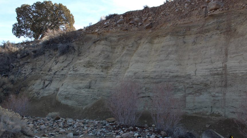 Golden Buckeye #1 & #2 — photograph 165 of the claim ground, Douglas County, Nevada