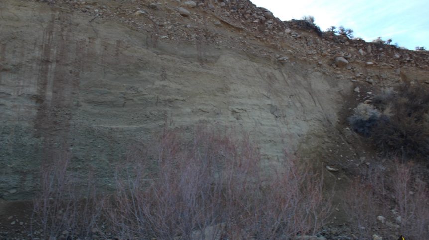 Golden Buckeye #1 & #2 — photograph 166 of the claim ground, Douglas County, Nevada