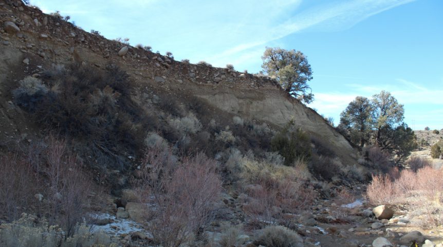 Golden Buckeye #1 & #2 — photograph 167 of the claim ground, Douglas County, Nevada