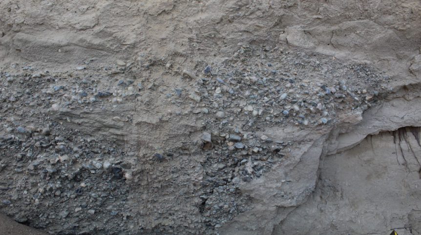 Golden Buckeye #1 & #2 — photograph 168 of the claim ground, Douglas County, Nevada