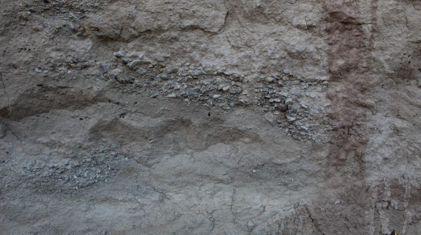 Golden Buckeye #1 & #2 — photograph 169 of the claim ground, Douglas County, Nevada